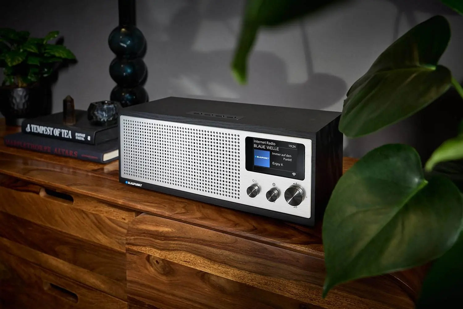 Blaupunkt Napoli Internetradio mit DAB+ in Holzgehäuse und Aluminiumfront auf Holztisch mit Pflanzen im Hintergrund