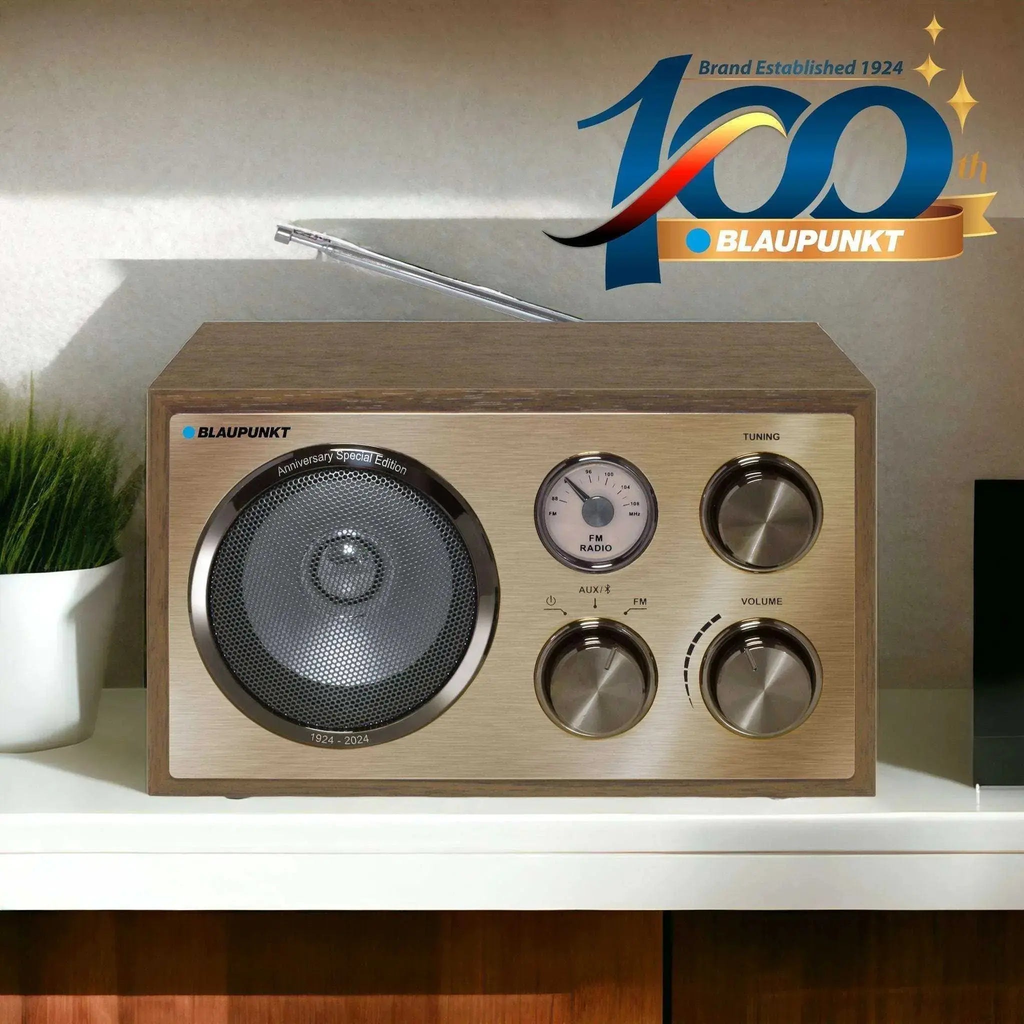 Blaupunkt RXN 180 Retroradio mit Bluetooth und Holzgehäuse im Vintage-Design