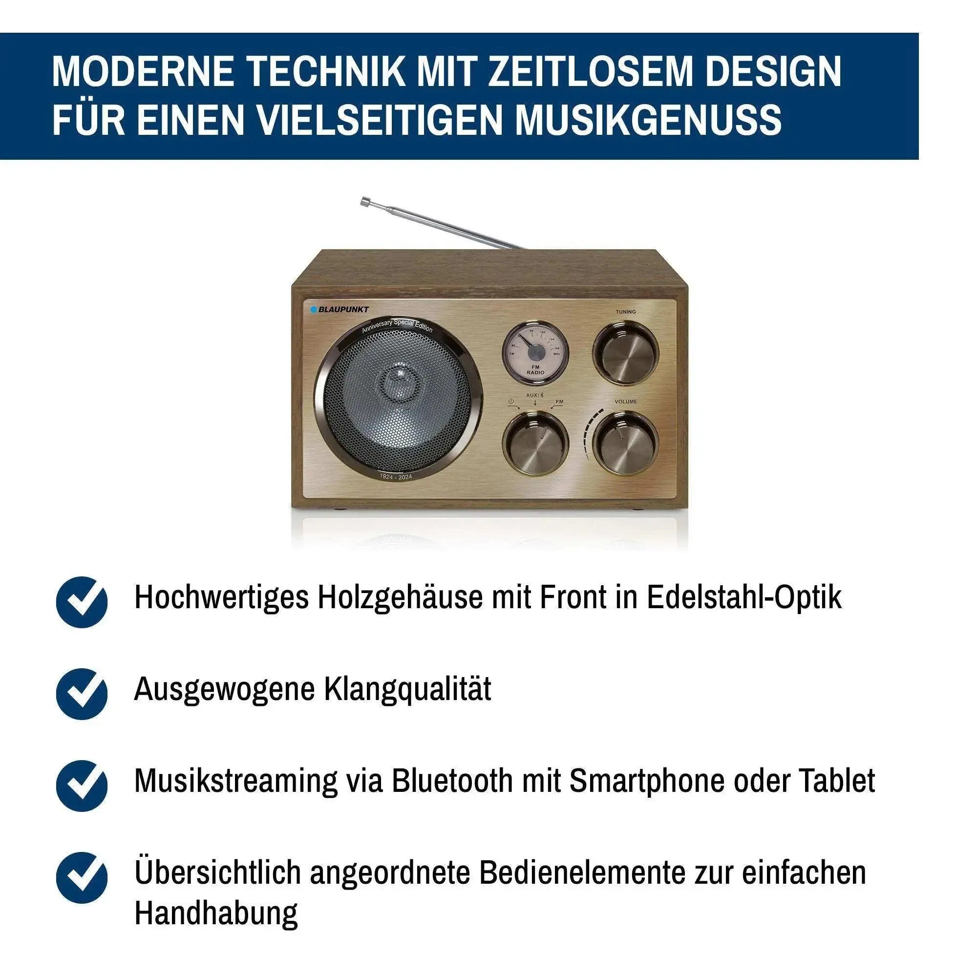 Retro Bluetooth radio RXN 180 with wooden case and stainless steel front for streaming music